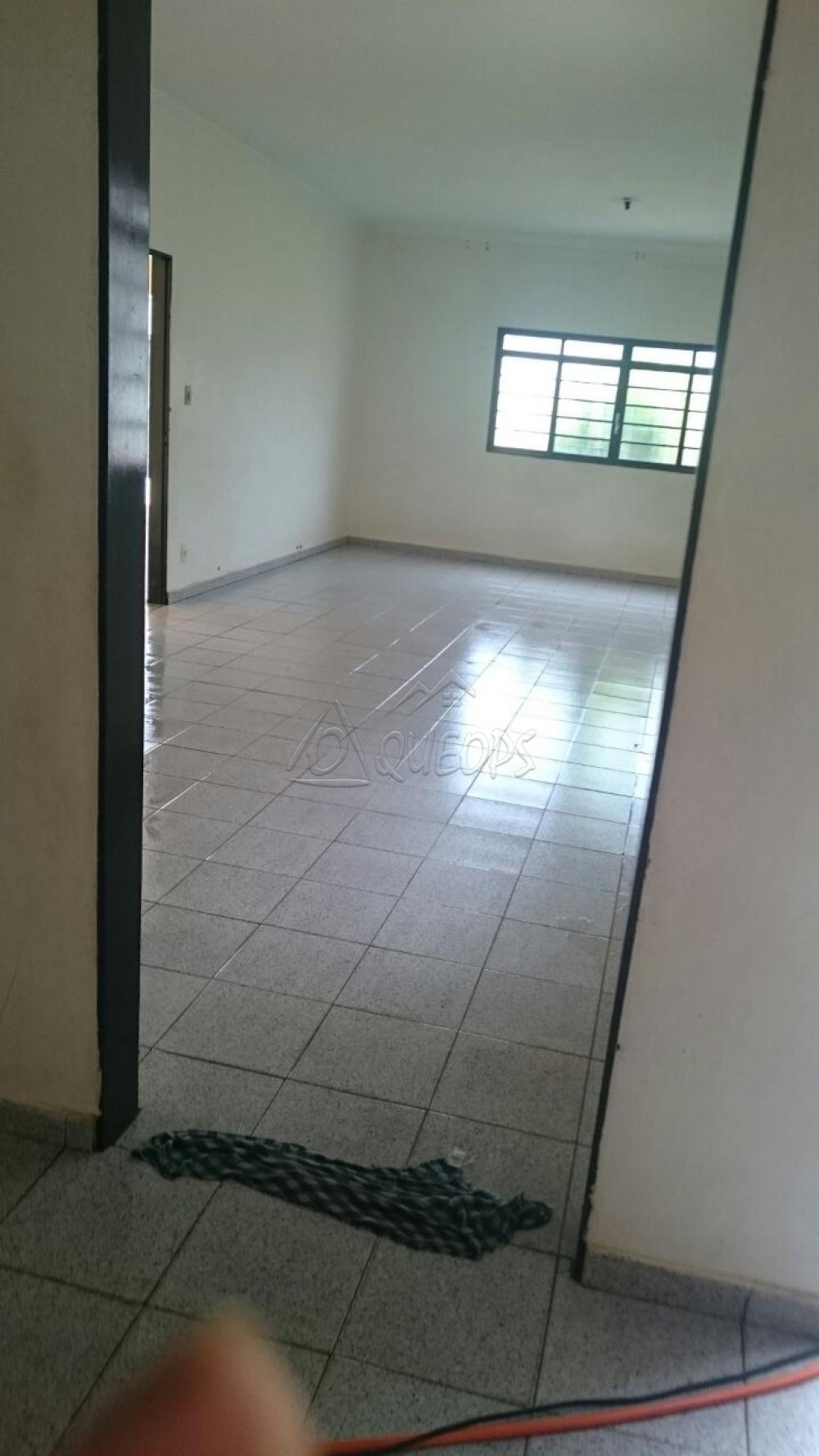 Comprar Casa / Padrão em Barretos R$ 330.000,00 - Foto 13 Comprar Casa / Padrão em Barretos R$ 330.000,00 - Foto 13