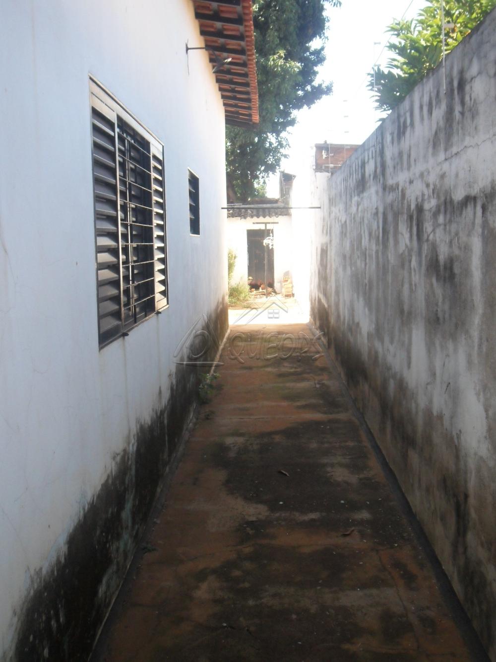 Comprar Casa / Padrão em Barretos R$ 330.000,00 - Foto 16 Comprar Casa / Padrão em Barretos R$ 330.000,00 - Foto 16