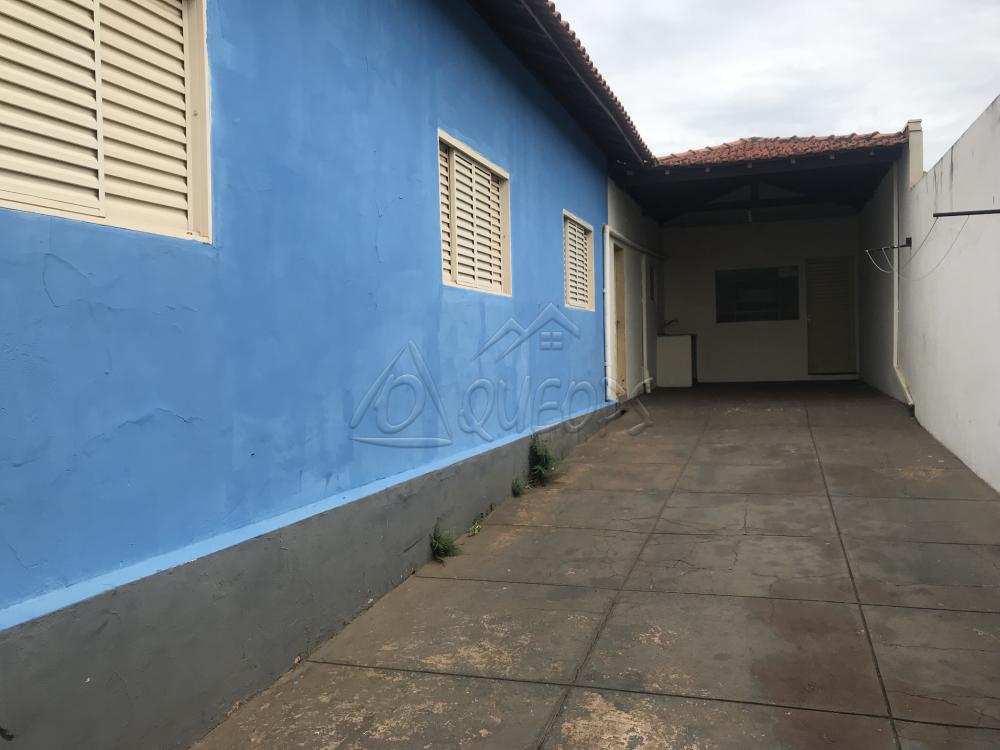 Alugar Casa / Padrão em Barretos apenas R$ 1.800,00 - Foto 4 Alugar Casa / Padrão em Barretos apenas R$ 1.800,00 - Foto 4