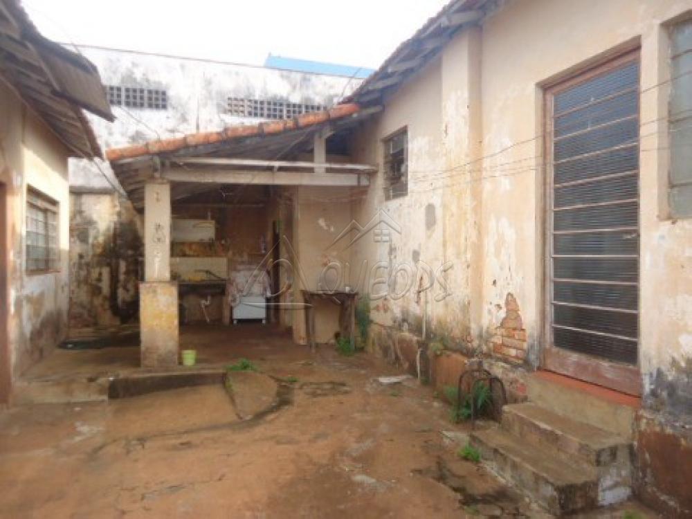 Comprar Casa / Padrão em Barretos apenas R$ 500.000,00 - Foto 23 Comprar Casa / Padrão em Barretos apenas R$ 500.000,00 - Foto 23