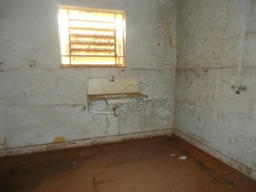 Comprar Casa / Padrão em Barretos apenas R$ 500.000,00 - Foto 27 Comprar Casa / Padrão em Barretos apenas R$ 500.000,00 - Foto 27