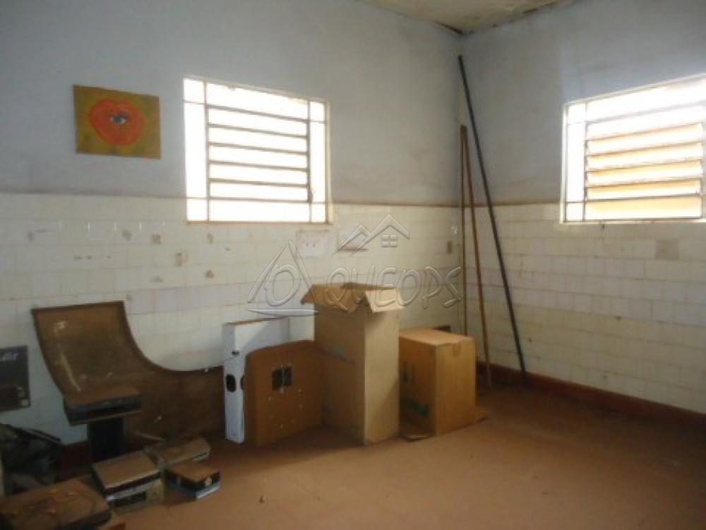 Comprar Casa / Padrão em Barretos apenas R$ 500.000,00 - Foto 28 Comprar Casa / Padrão em Barretos apenas R$ 500.000,00 - Foto 28