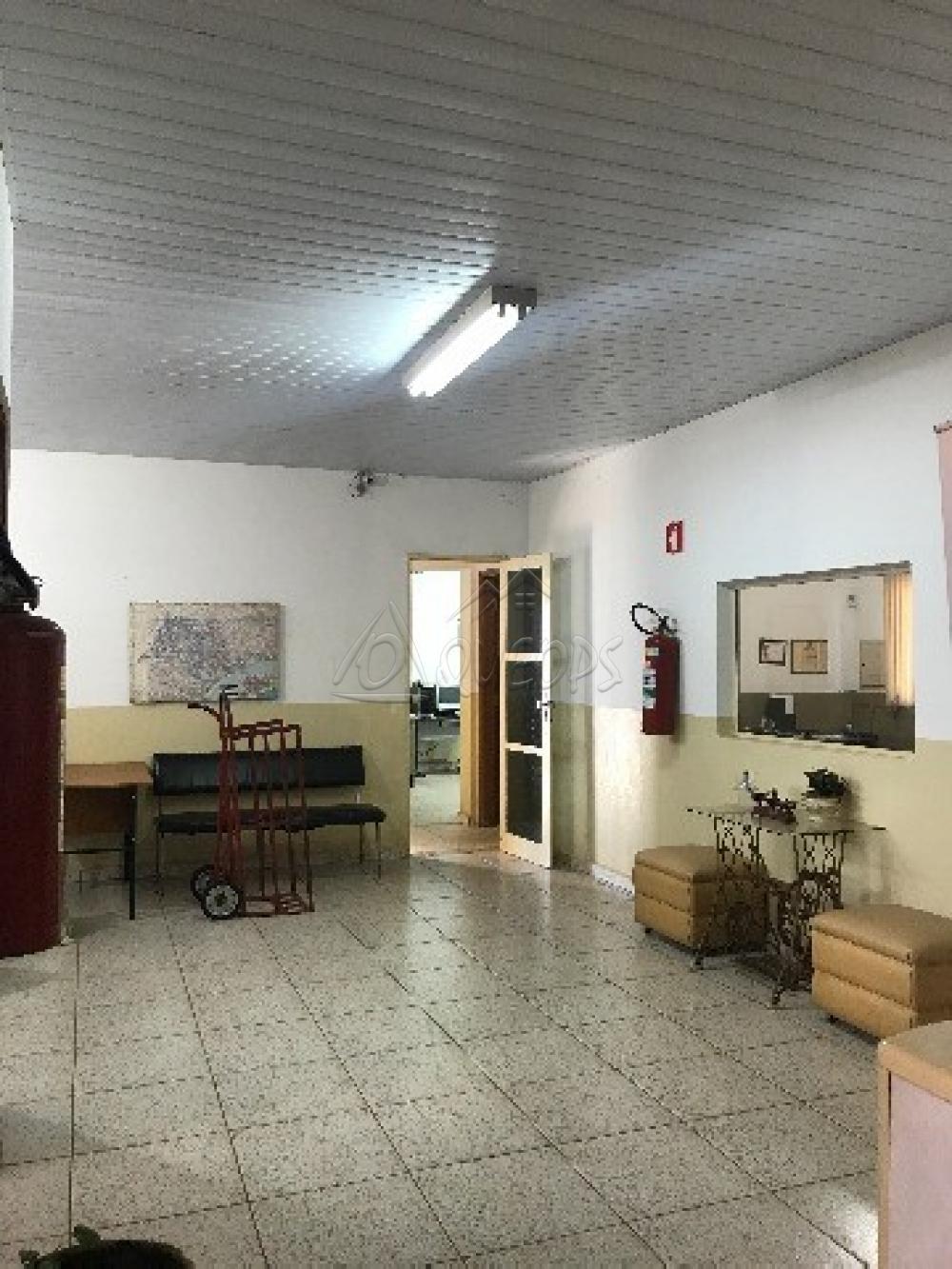 Alugar Comercial / Prédio em Barretos apenas R$ 15.000,00 - Foto 11 Alugar Comercial / Prédio em Barretos apenas R$ 15.000,00 - Foto 11