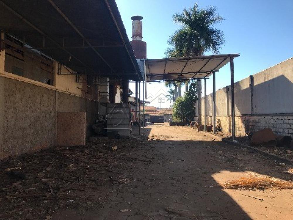 Alugar Comercial / Prédio em Barretos apenas R$ 15.000,00 - Foto 20 Alugar Comercial / Prédio em Barretos apenas R$ 15.000,00 - Foto 20