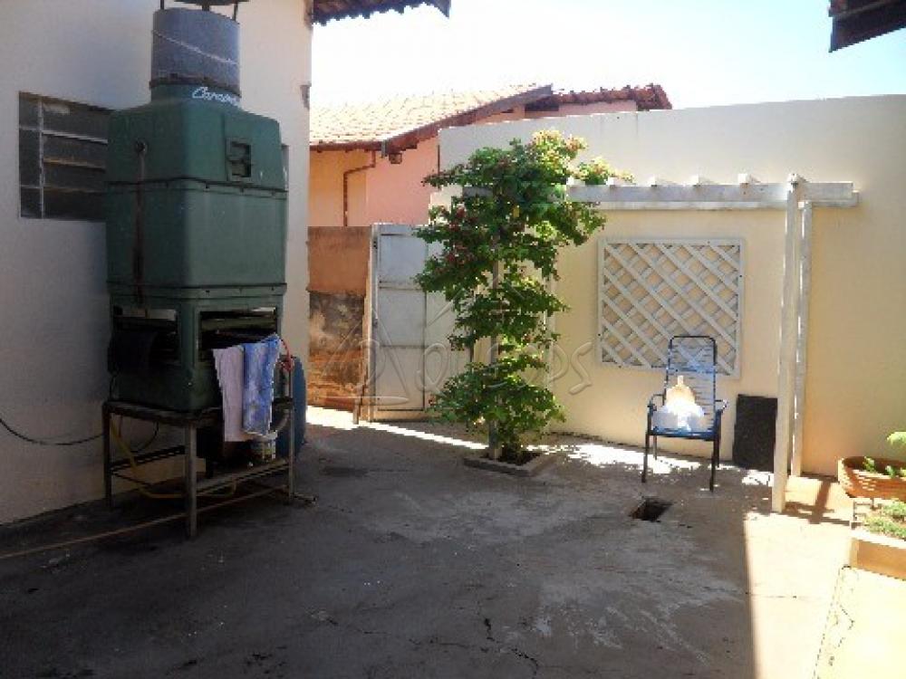Comprar Comercial / Salão em Barretos apenas R$ 1.050.000,00 - Foto 20 Comprar Comercial / Salão em Barretos apenas R$ 1.050.000,00 - Foto 20