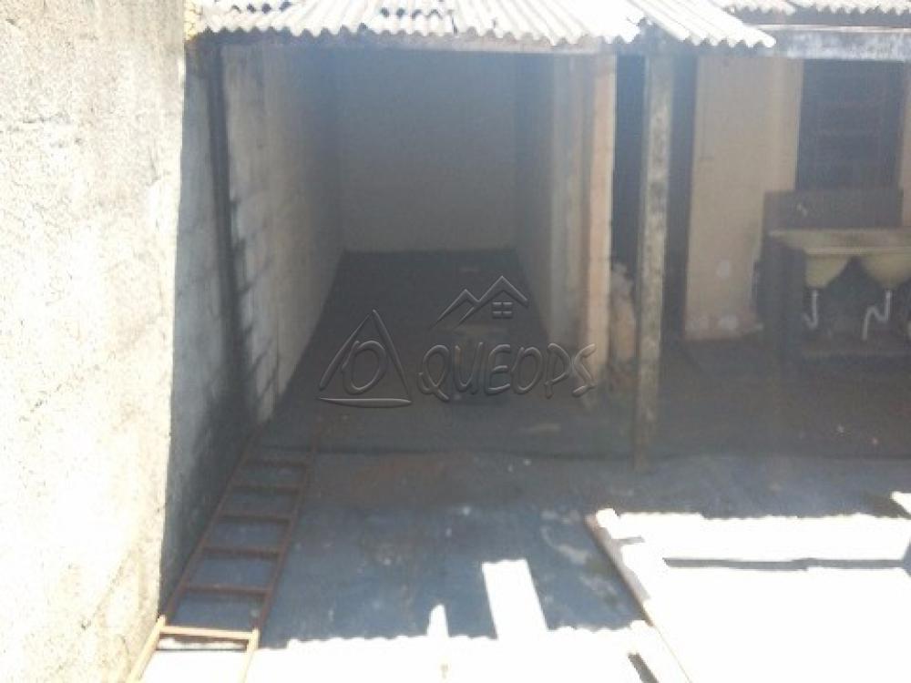 Alugar Casa / Padrão em Nova Europa apenas R$ 733,46 - Foto 3 Alugar Casa / Padrão em Nova Europa apenas R$ 733,46 - Foto 3
