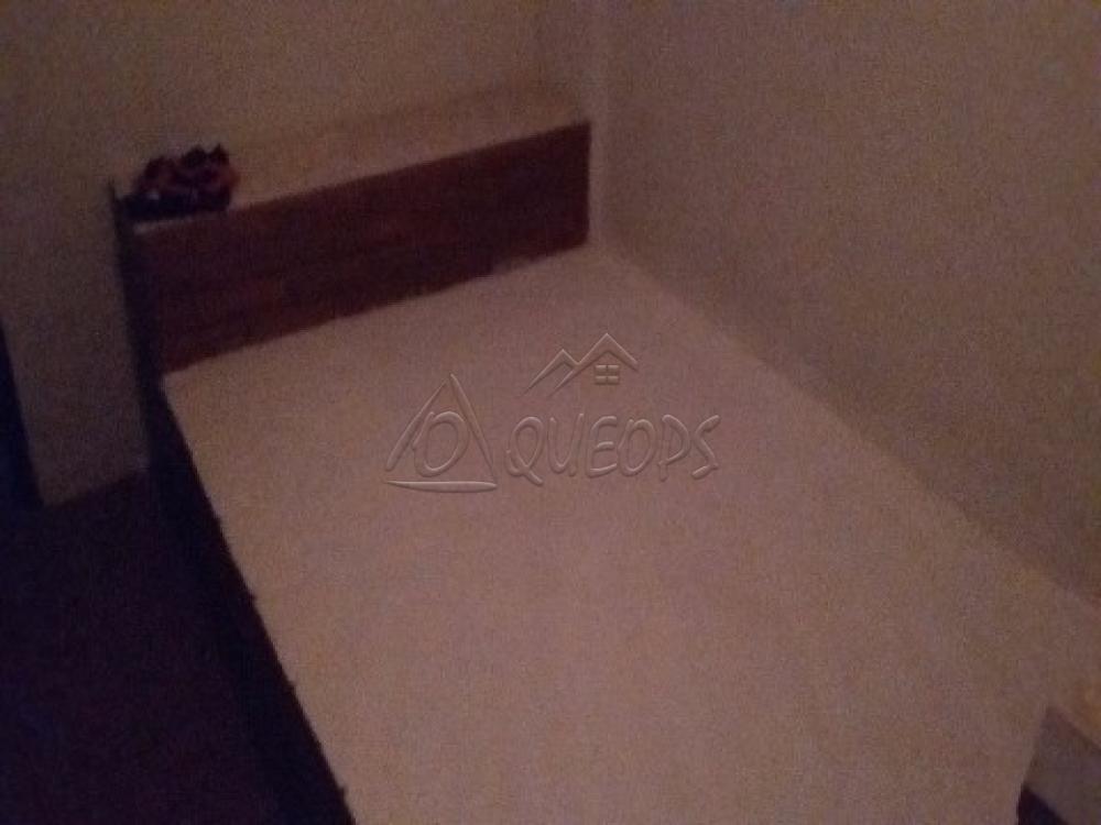 Alugar Casa / Padrão em Nova Europa apenas R$ 733,46 - Foto 10 Alugar Casa / Padrão em Nova Europa apenas R$ 733,46 - Foto 10
