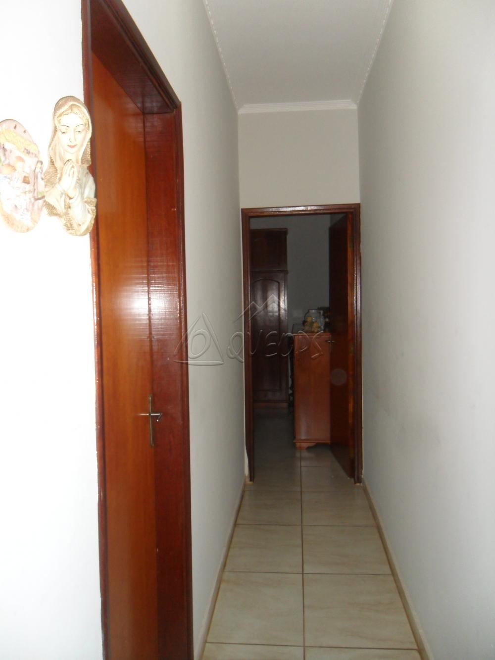 Comprar Casa / Padrão em Barretos apenas R$ 450.000,00 - Foto 8 Comprar Casa / Padrão em Barretos apenas R$ 450.000,00 - Foto 8