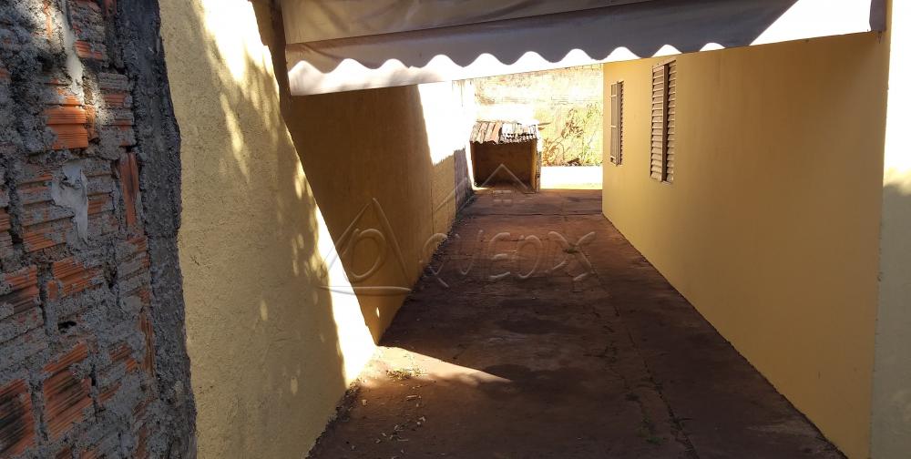 Alugar Casa / Padrão em Barretos apenas R$ 700,00 - Foto 3 Alugar Casa / Padrão em Barretos apenas R$ 700,00 - Foto 3