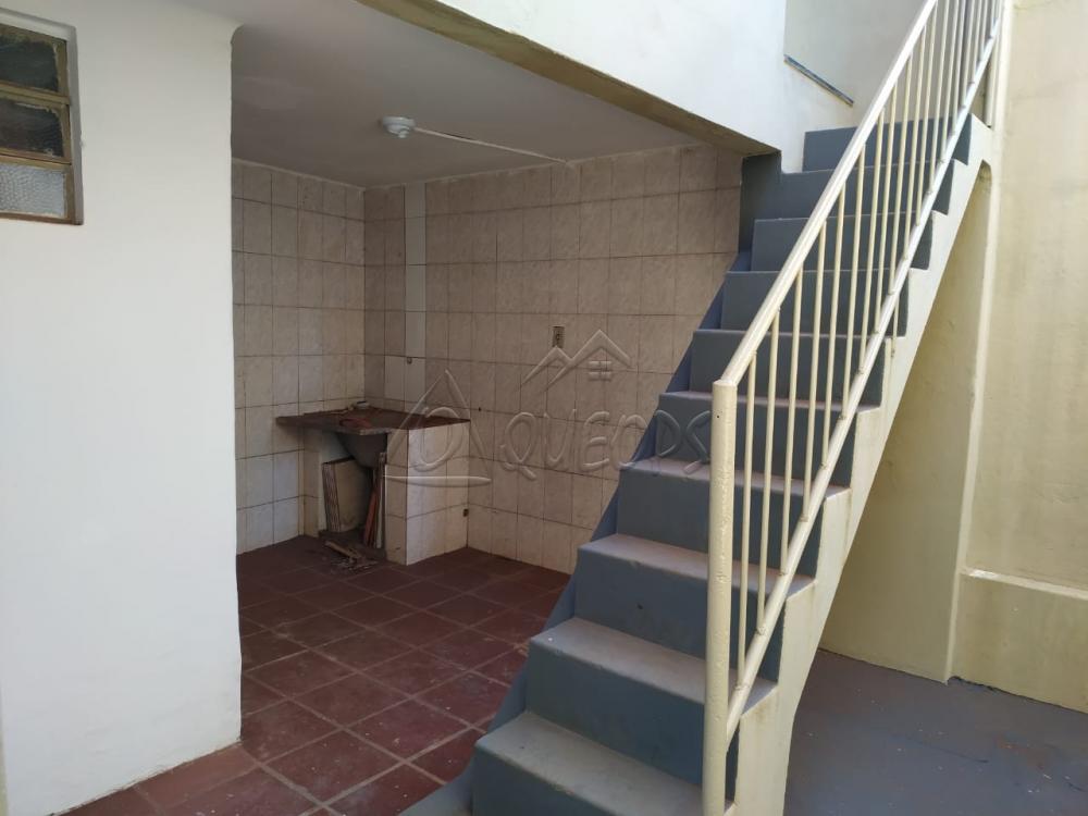 Comprar Casa / Padrão em Barretos apenas R$ 220.000,00 - Foto 13 Comprar Casa / Padrão em Barretos apenas R$ 220.000,00 - Foto 13