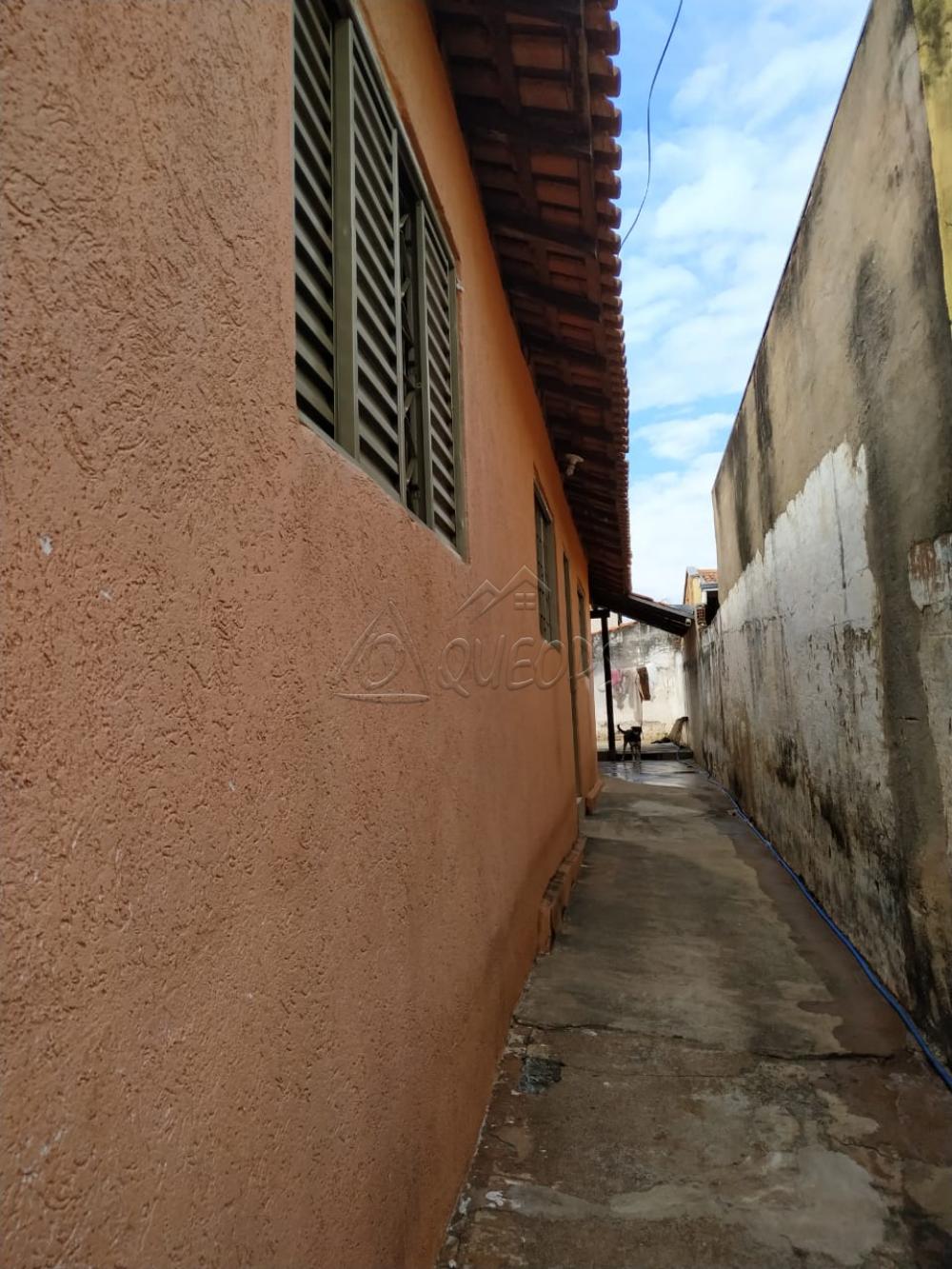 Comprar Casa / Padrão em Barretos apenas R$ 180.000,00 - Foto 5 Comprar Casa / Padrão em Barretos apenas R$ 180.000,00 - Foto 5