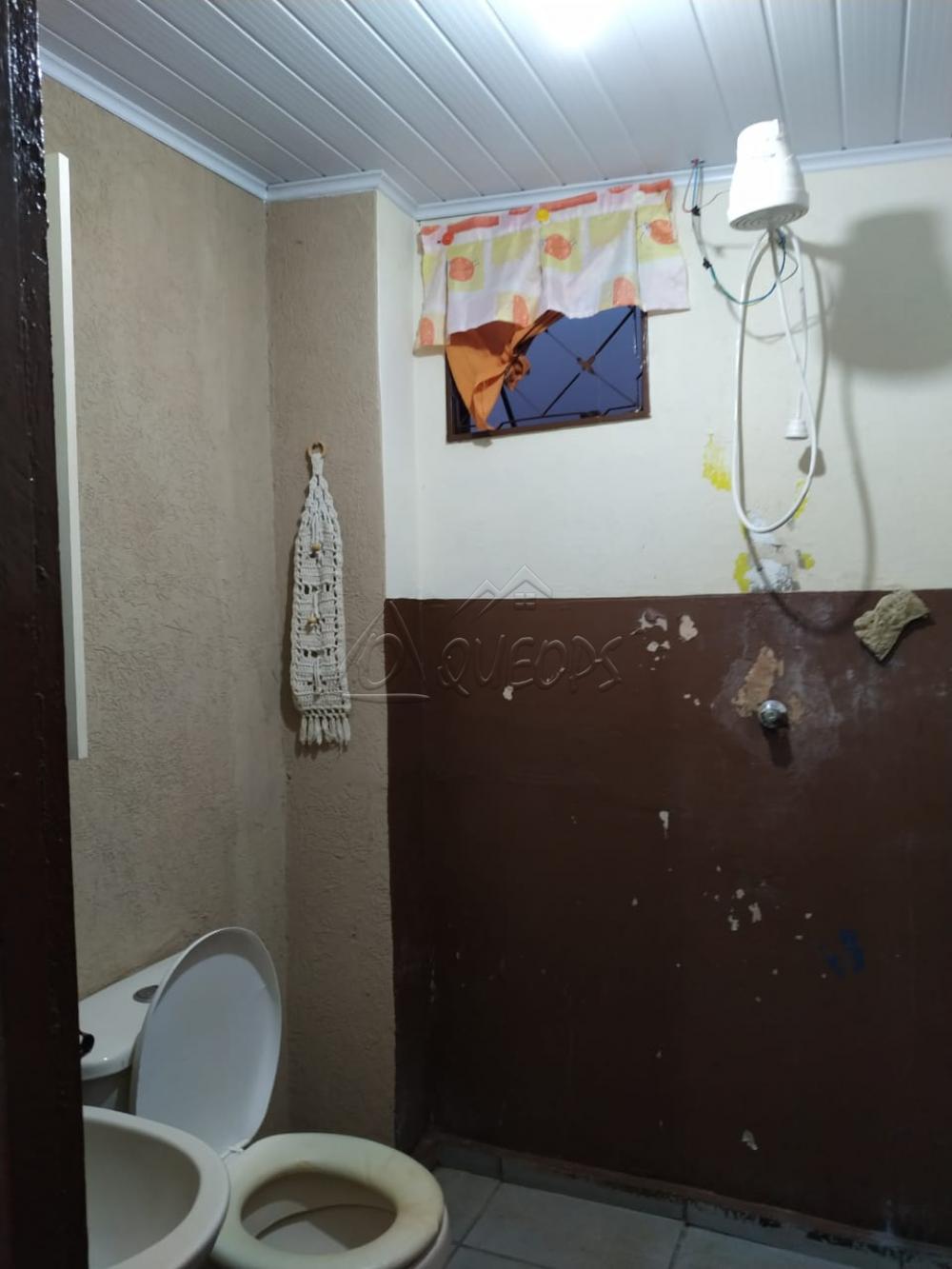 Comprar Casa / Padrão em Barretos apenas R$ 180.000,00 - Foto 14 Comprar Casa / Padrão em Barretos apenas R$ 180.000,00 - Foto 14