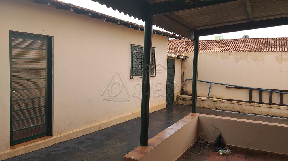 Comprar Casa / Padrão em Barretos apenas R$ 420.000,00 - Foto 11 Comprar Casa / Padrão em Barretos apenas R$ 420.000,00 - Foto 11