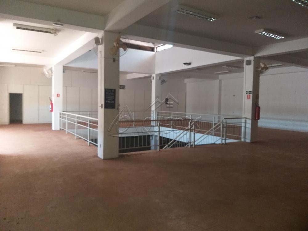 Alugar Comercial / Ponto Comercial em Barretos apenas R$ 20.000,00 - Foto 5 Alugar Comercial / Ponto Comercial em Barretos apenas R$ 20.000,00 - Foto 5