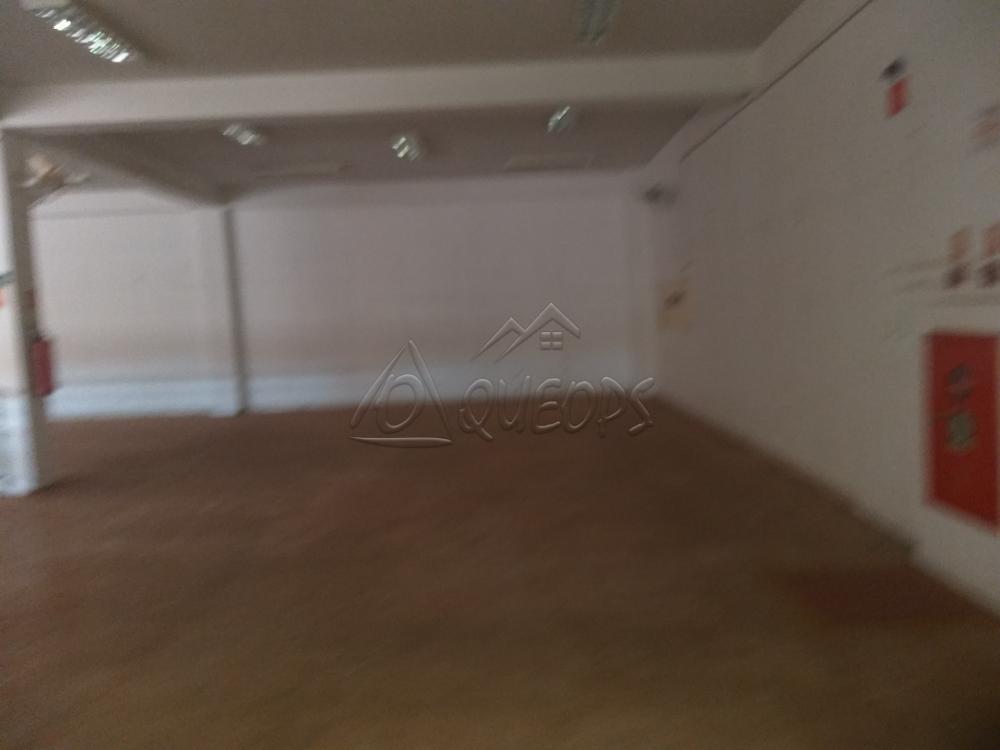 Alugar Comercial / Ponto Comercial em Barretos apenas R$ 20.000,00 - Foto 6 Alugar Comercial / Ponto Comercial em Barretos apenas R$ 20.000,00 - Foto 6