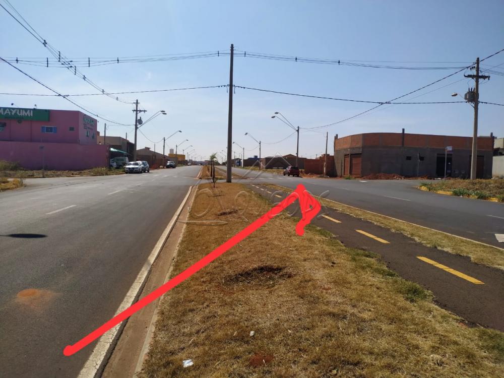 Comprar Comercial / Salão em Barretos apenas R$ 250.000,00 - Foto 4 Comprar Comercial / Salão em Barretos apenas R$ 250.000,00 - Foto 4