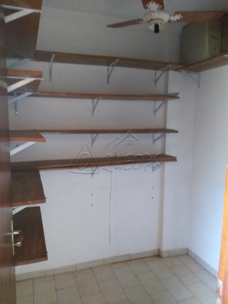 Alugar Apartamento / Padrão em Barretos apenas R$ 1.300,00 - Foto 15 Alugar Apartamento / Padrão em Barretos apenas R$ 1.300,00 - Foto 15