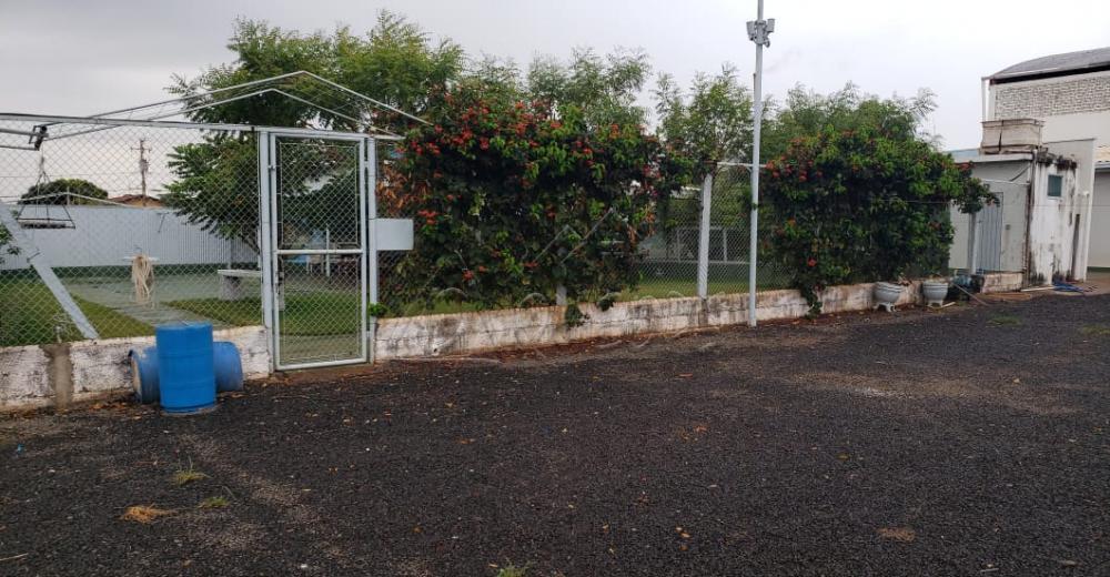 Comprar Comercial / Barracão em Barretos apenas R$ 3.500.000,00 - Foto 19 Comprar Comercial / Barracão em Barretos apenas R$ 3.500.000,00 - Foto 19