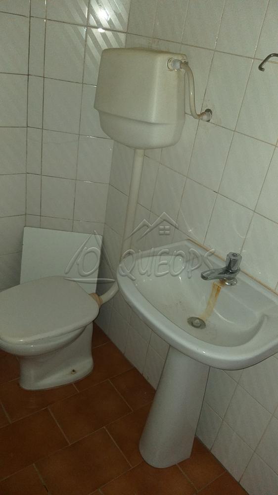 Alugar Apartamento / Padrão em Barretos apenas R$ 800,00 - Foto 5 Alugar Apartamento / Padrão em Barretos apenas R$ 800,00 - Foto 5