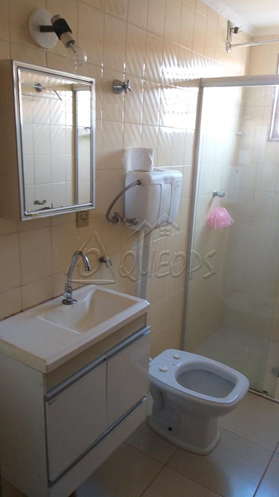 Alugar Apartamento / Padrão em Barretos apenas R$ 800,00 - Foto 7 Alugar Apartamento / Padrão em Barretos apenas R$ 800,00 - Foto 7