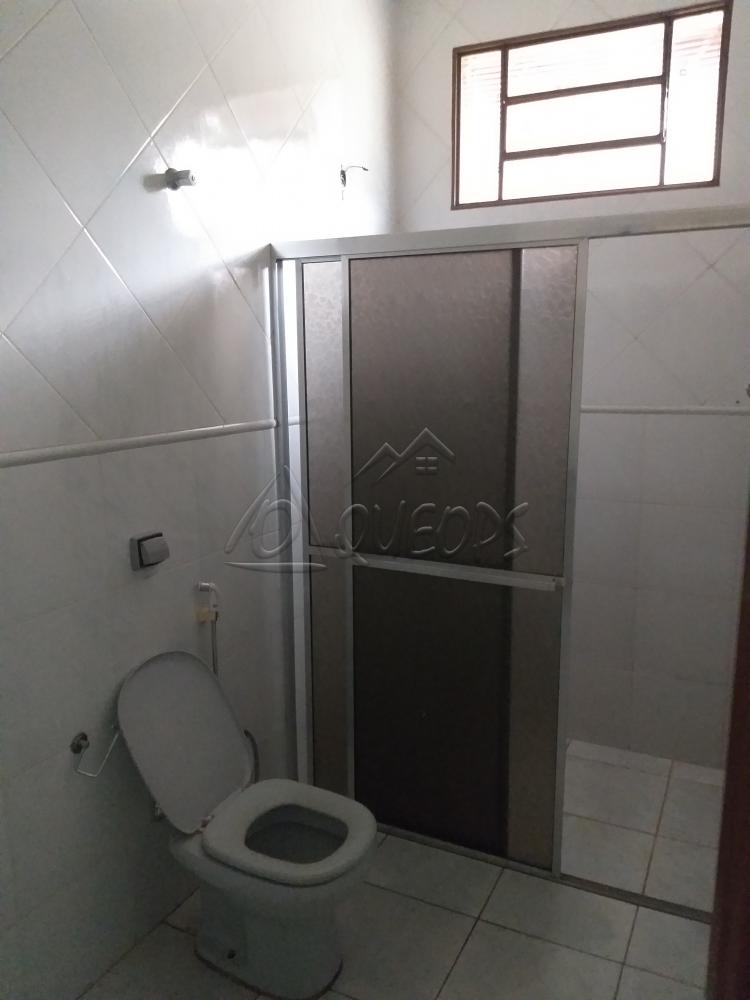 Alugar Casa / Padrão em Barretos apenas R$ 3.000,00 - Foto 13 Alugar Casa / Padrão em Barretos apenas R$ 3.000,00 - Foto 13