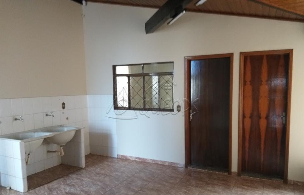 Alugar Casa / Padrão em Barretos apenas R$ 3.000,00 - Foto 14 Alugar Casa / Padrão em Barretos apenas R$ 3.000,00 - Foto 14
