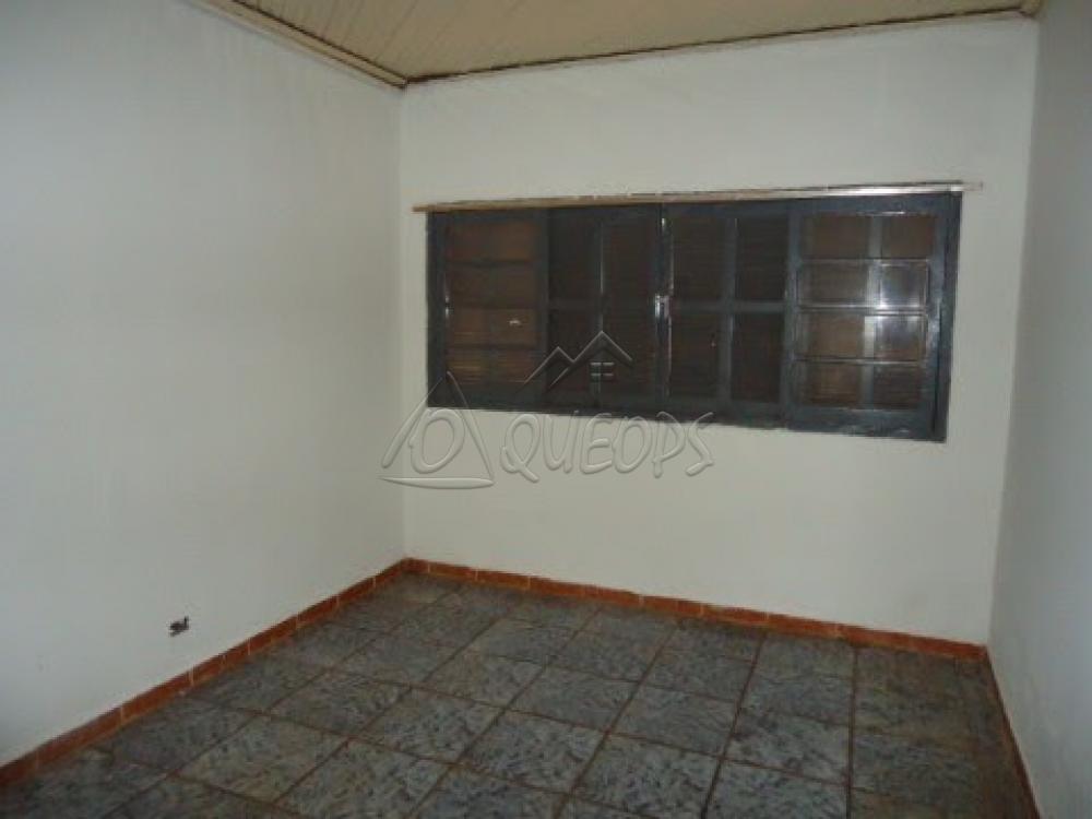 Alugar Casa / Padrão em Barretos apenas R$ 600,00 - Foto 11 Alugar Casa / Padrão em Barretos apenas R$ 600,00 - Foto 11