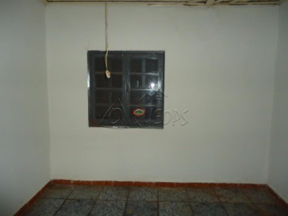 Alugar Casa / Padrão em Barretos apenas R$ 600,00 - Foto 12 Alugar Casa / Padrão em Barretos apenas R$ 600,00 - Foto 12