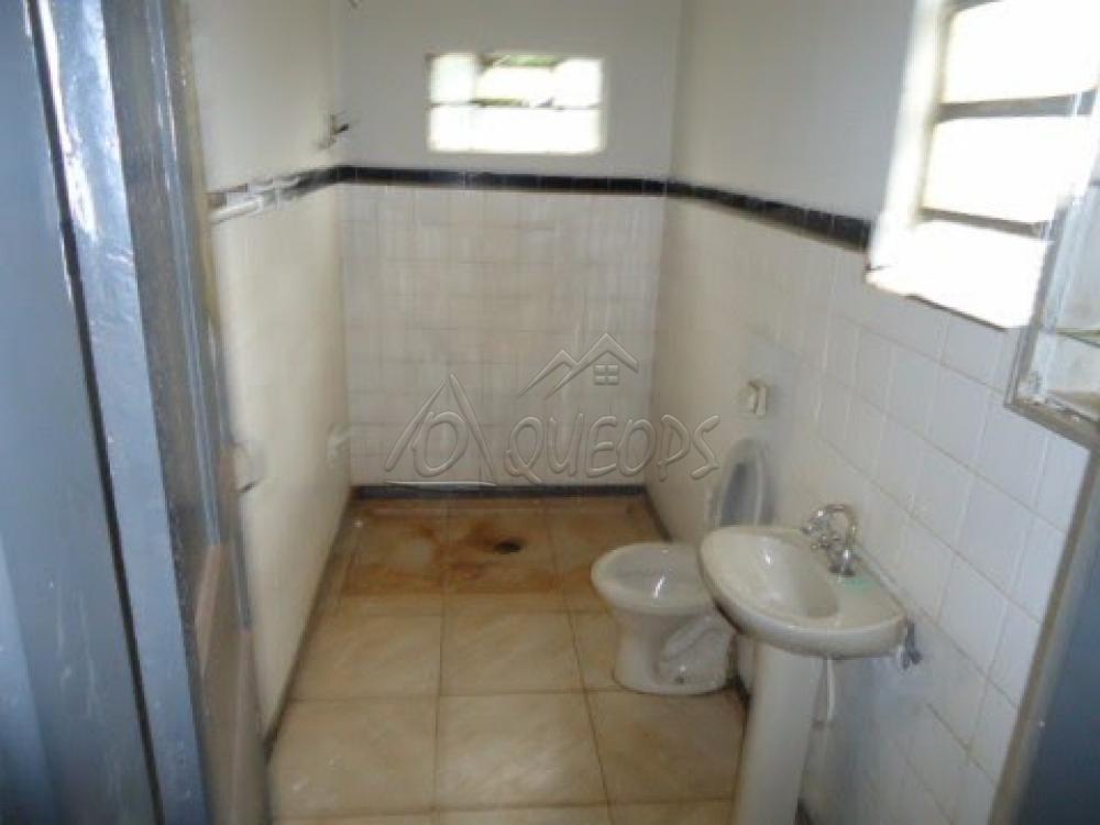 Alugar Casa / Padrão em Barretos apenas R$ 600,00 - Foto 15 Alugar Casa / Padrão em Barretos apenas R$ 600,00 - Foto 15