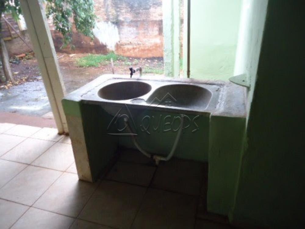Alugar Casa / Padrão em Barretos apenas R$ 600,00 - Foto 14 Alugar Casa / Padrão em Barretos apenas R$ 600,00 - Foto 14