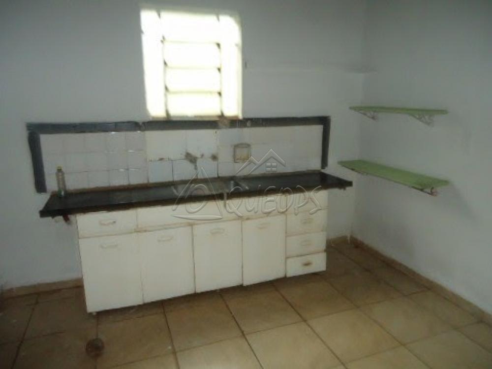 Alugar Casa / Padrão em Barretos apenas R$ 600,00 - Foto 13 Alugar Casa / Padrão em Barretos apenas R$ 600,00 - Foto 13