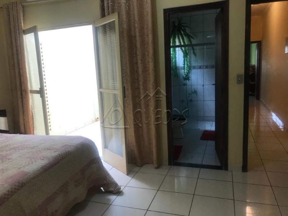 Comprar Casa / Padrão em Barretos apenas R$ 390.000,00 - Foto 6 Comprar Casa / Padrão em Barretos apenas R$ 390.000,00 - Foto 6