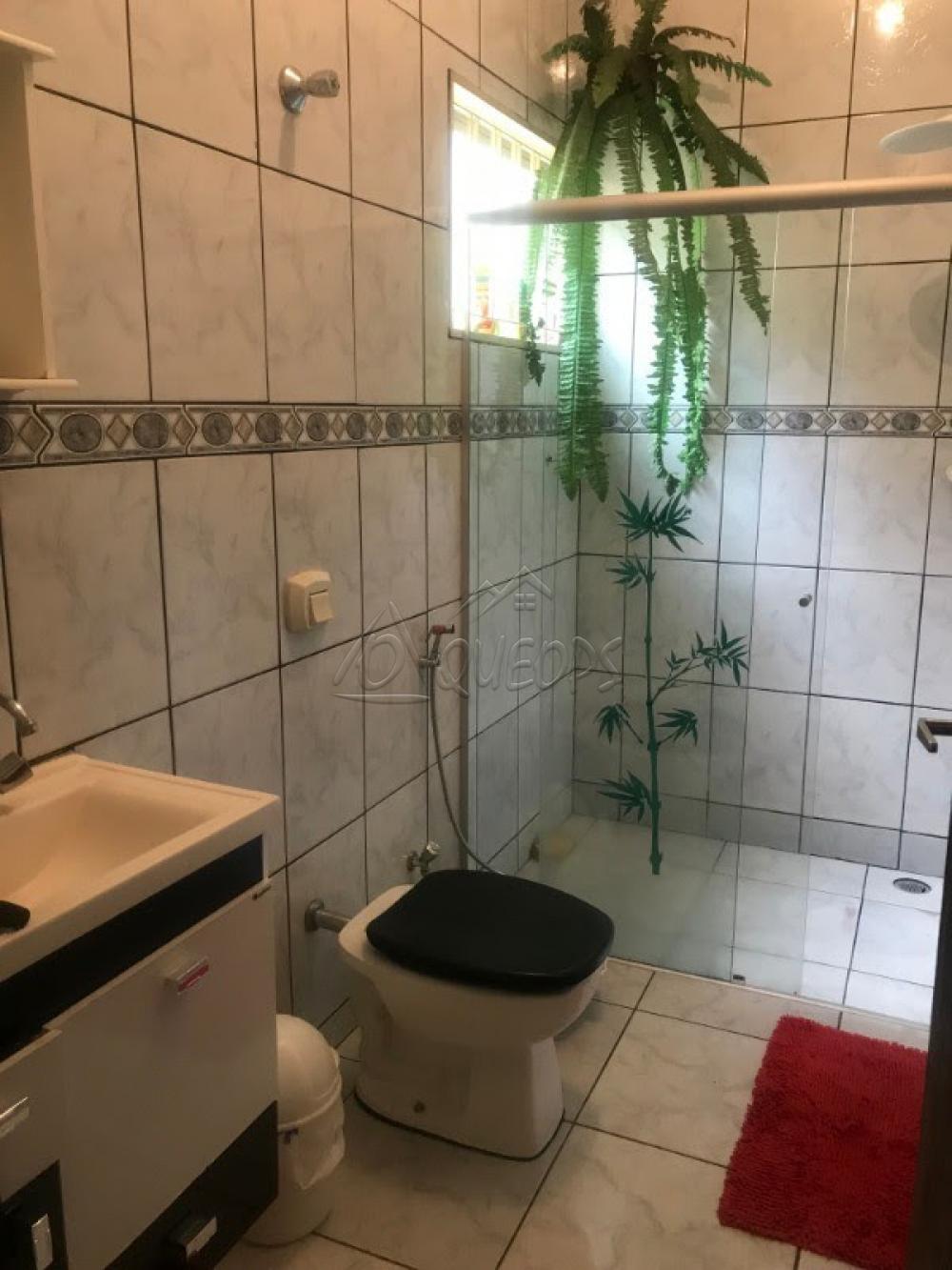 Comprar Casa / Padrão em Barretos apenas R$ 390.000,00 - Foto 11 Comprar Casa / Padrão em Barretos apenas R$ 390.000,00 - Foto 11