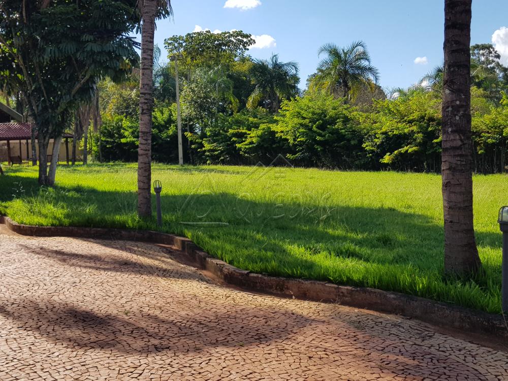 Alugar Rural / Chácara em Barretos R$ 3.500,00 - Foto 3