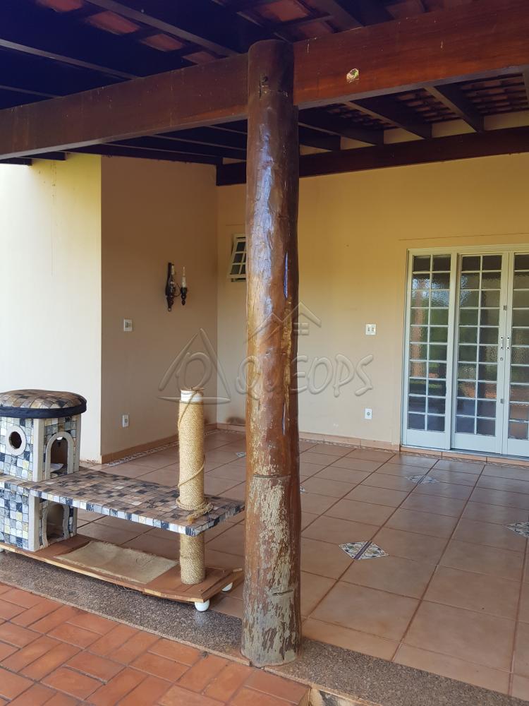 Alugar Rural / Chácara em Barretos R$ 3.500,00 - Foto 6