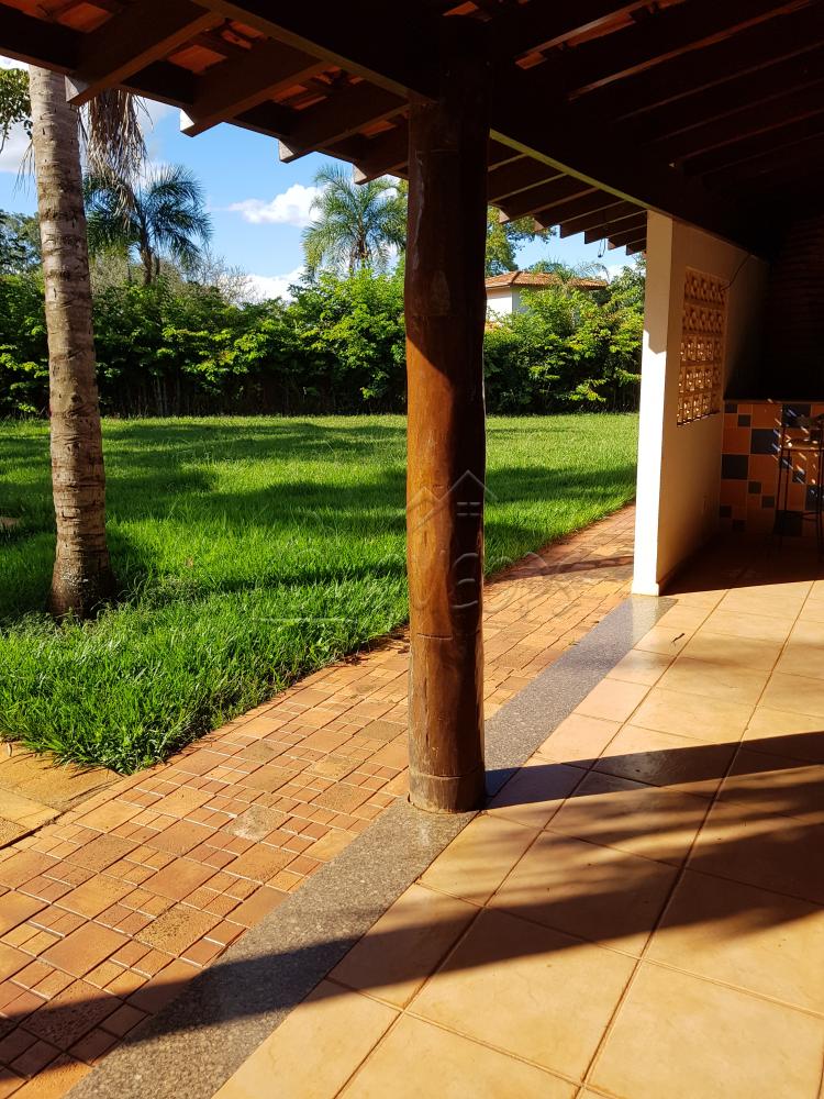 Alugar Rural / Chácara em Barretos R$ 3.500,00 - Foto 10