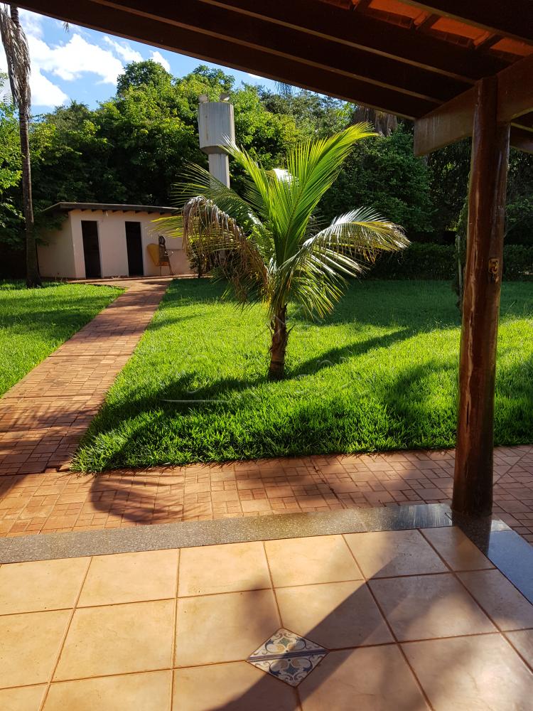 Alugar Rural / Chácara em Barretos R$ 3.500,00 - Foto 12