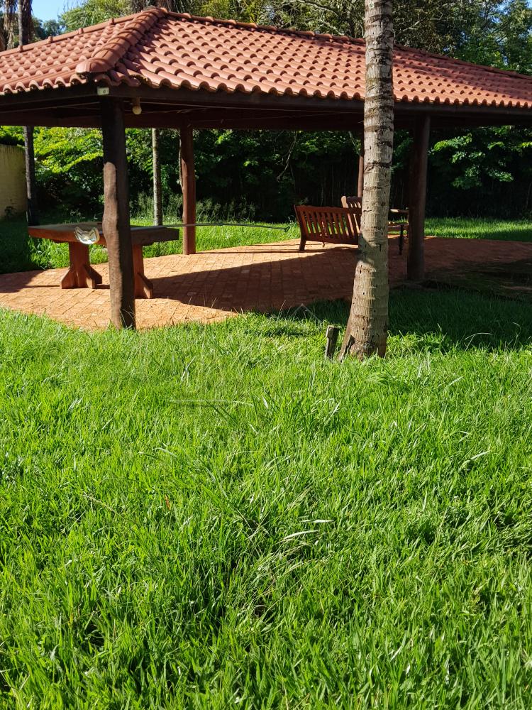 Alugar Rural / Chácara em Barretos R$ 3.500,00 - Foto 15