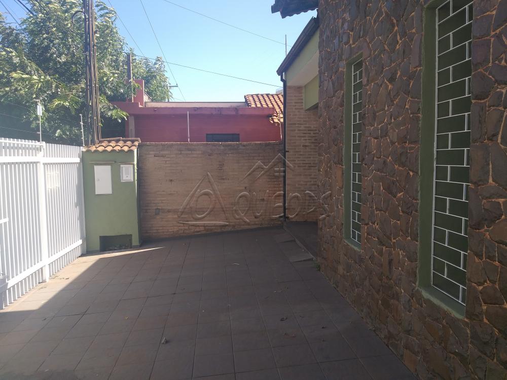 Alugar Casa / Padrão em Barretos apenas R$ 1.300,00 - Foto 3 Alugar Casa / Padrão em Barretos apenas R$ 1.300,00 - Foto 3
