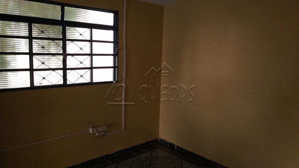 Alugar Casa / Padrão em Barretos apenas R$ 1.800,00 - Foto 12 Alugar Casa / Padrão em Barretos apenas R$ 1.800,00 - Foto 12