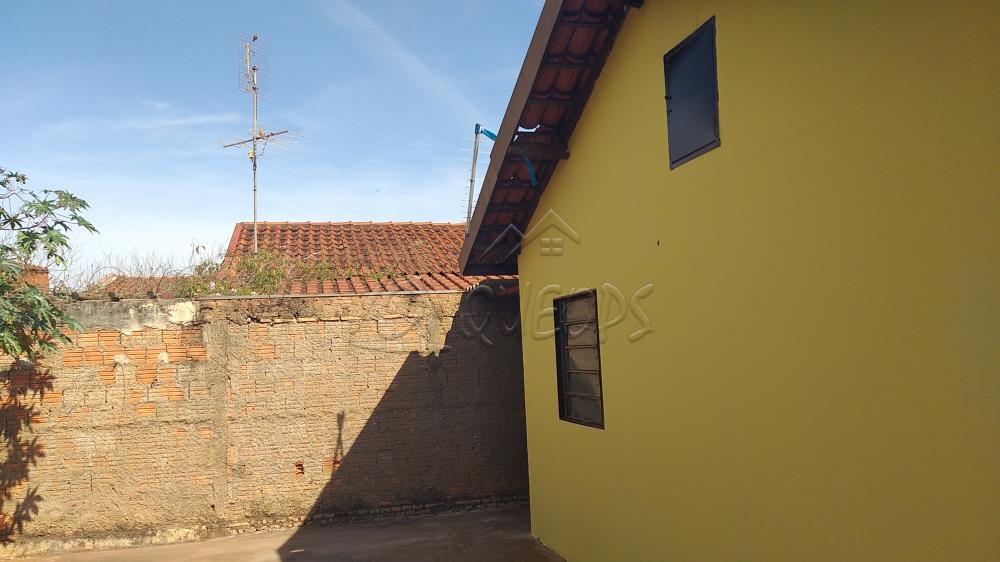 Alugar Casa / Padrão em Barretos apenas R$ 750,00 - Foto 7 Alugar Casa / Padrão em Barretos apenas R$ 750,00 - Foto 7