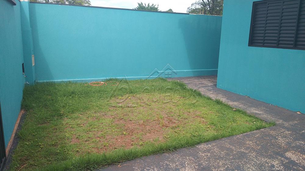 Alugar Casa / Padrão em Barretos apenas R$ 800,00 - Foto 4 Alugar Casa / Padrão em Barretos apenas R$ 800,00 - Foto 4