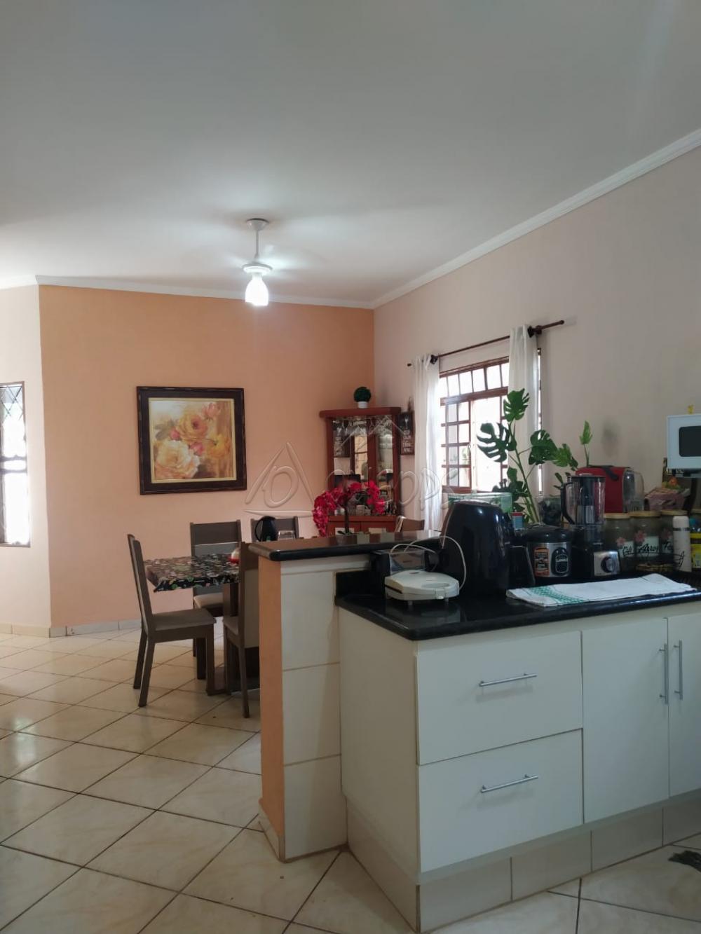 Comprar Casa / Padrão em Barretos apenas R$ 280.000,00 - Foto 5 Comprar Casa / Padrão em Barretos apenas R$ 280.000,00 - Foto 5