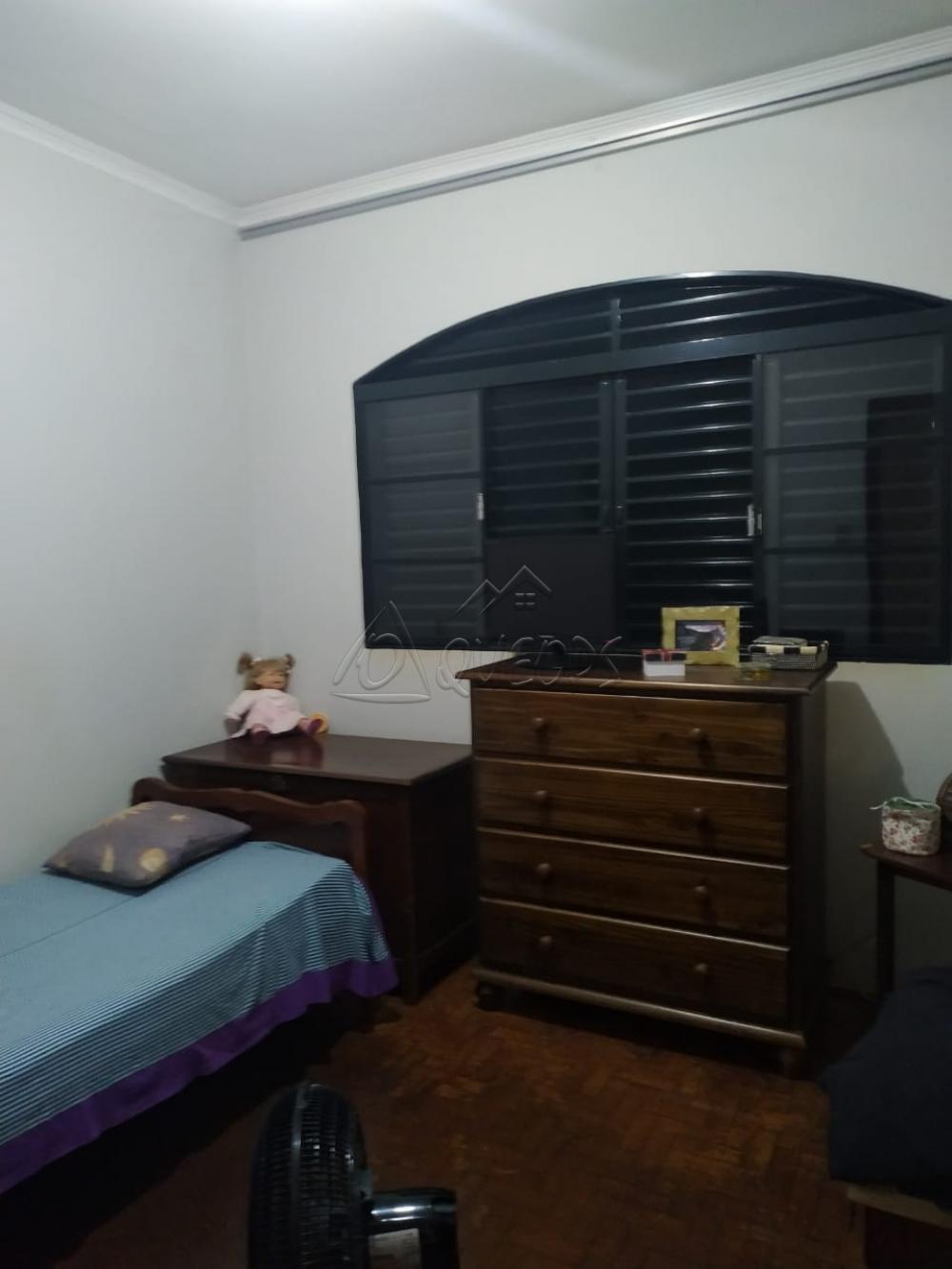 Comprar Casa / Padrão em Barretos apenas R$ 350.000,00 - Foto 11 Comprar Casa / Padrão em Barretos apenas R$ 350.000,00 - Foto 11