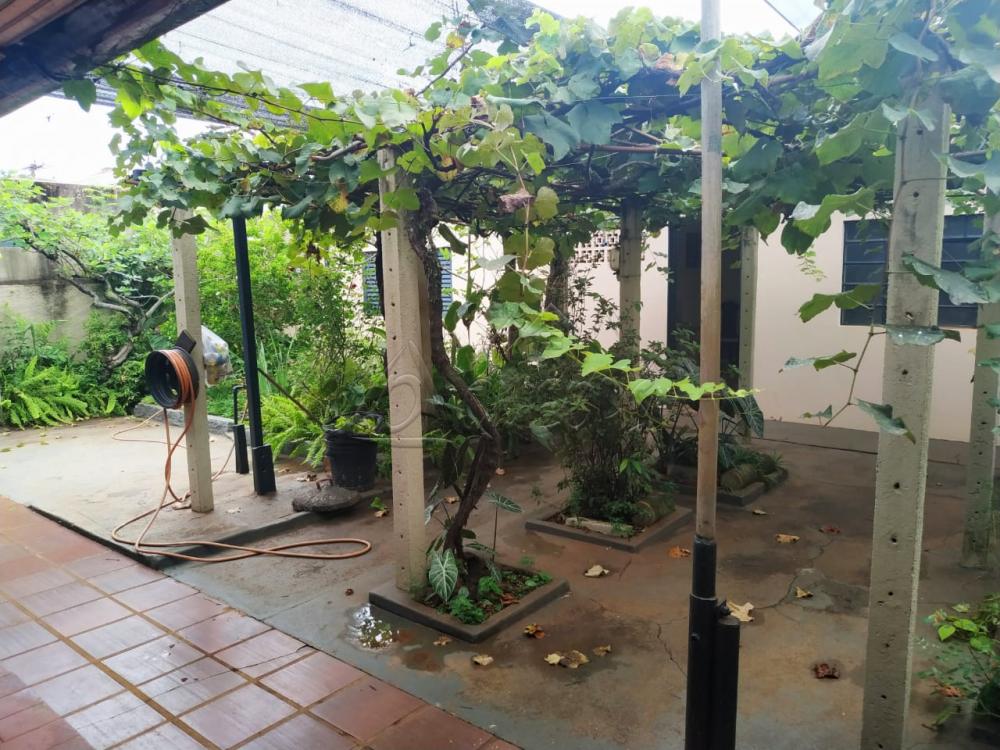 Comprar Casa / Padrão em Barretos apenas R$ 350.000,00 - Foto 19 Comprar Casa / Padrão em Barretos apenas R$ 350.000,00 - Foto 19