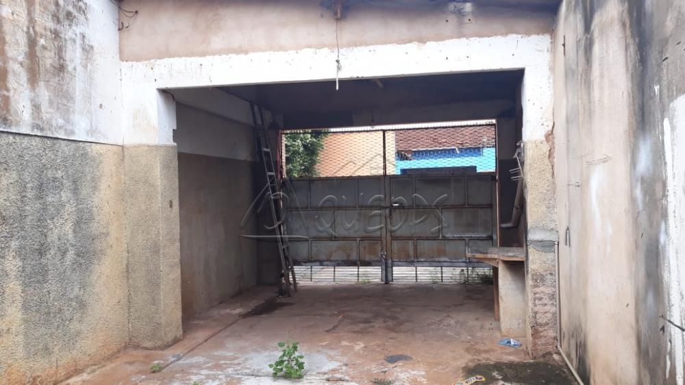 Alugar Comercial / Salão em Barretos apenas R$ 1.200,00 - Foto 3 Alugar Comercial / Salão em Barretos apenas R$ 1.200,00 - Foto 3