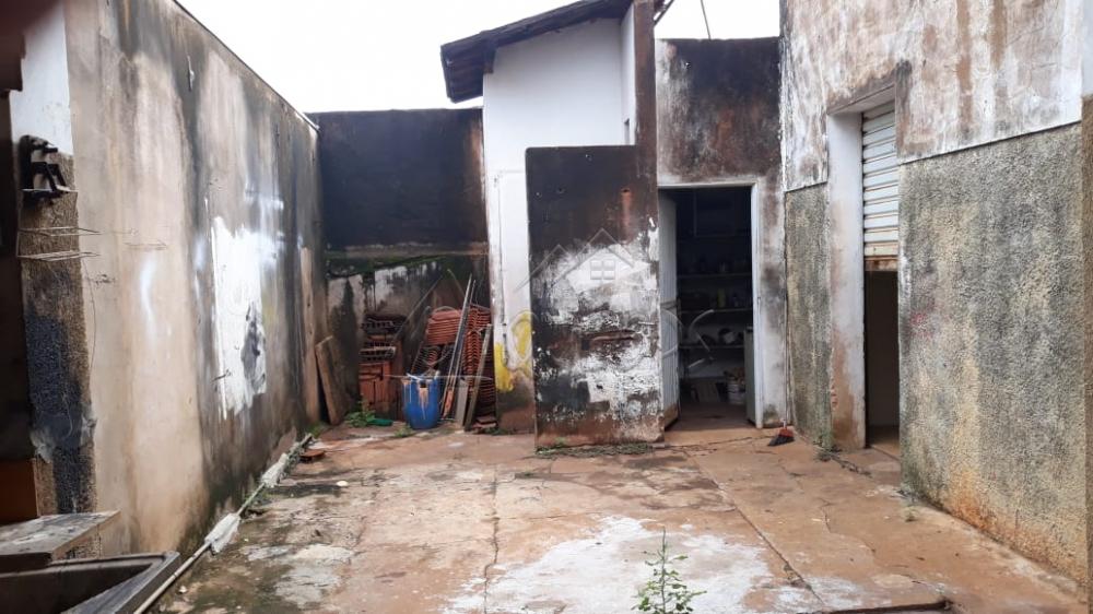 Alugar Comercial / Salão em Barretos apenas R$ 1.200,00 - Foto 5 Alugar Comercial / Salão em Barretos apenas R$ 1.200,00 - Foto 5