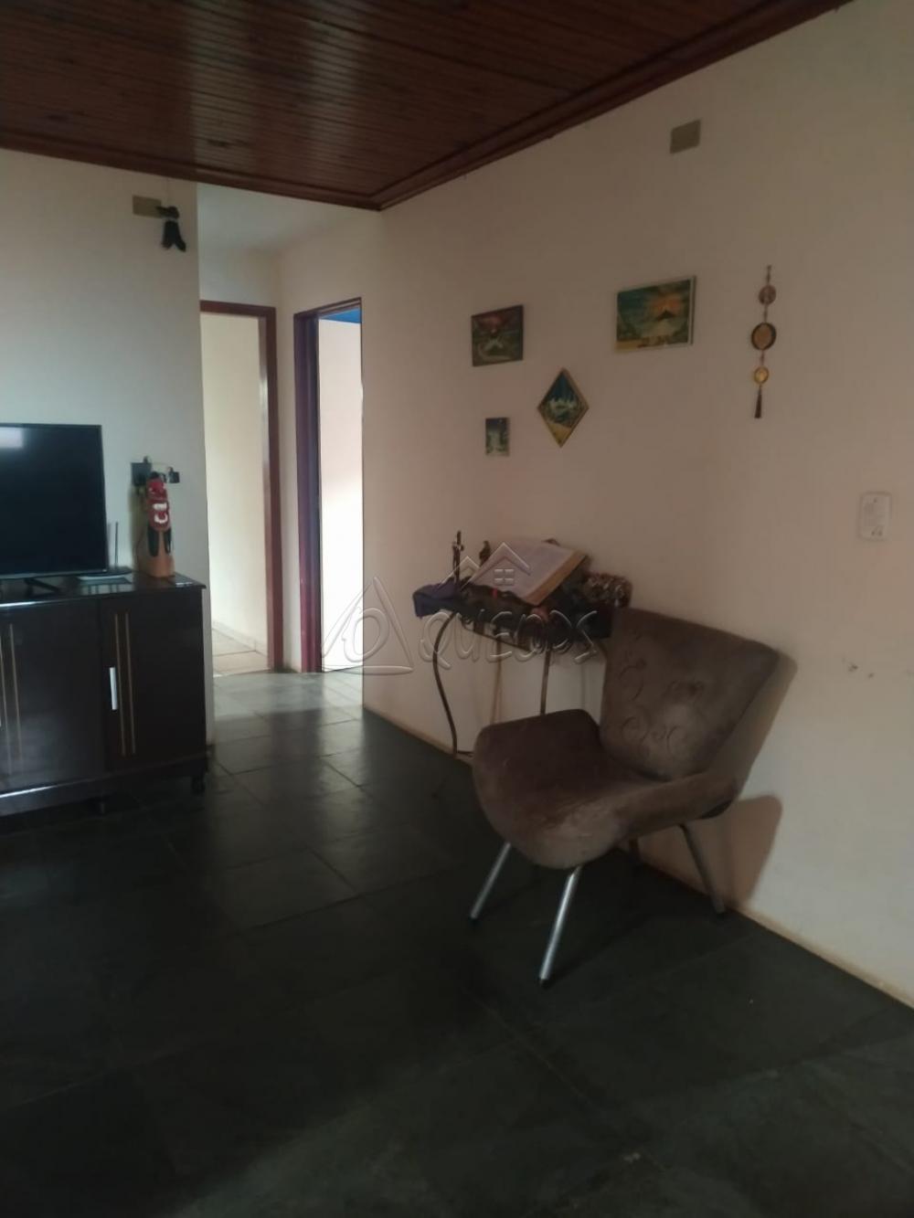 Comprar Casa / Padrão em Barretos apenas R$ 130.000,00 - Foto 5 Comprar Casa / Padrão em Barretos apenas R$ 130.000,00 - Foto 5