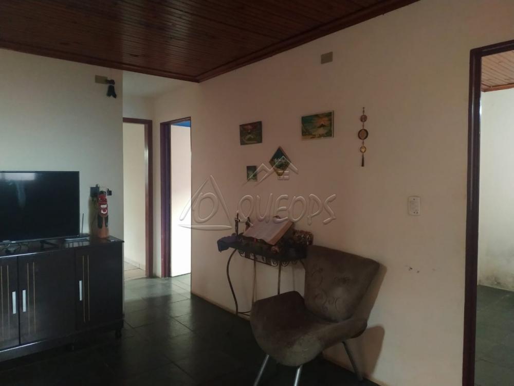 Comprar Casa / Padrão em Barretos apenas R$ 130.000,00 - Foto 7 Comprar Casa / Padrão em Barretos apenas R$ 130.000,00 - Foto 7