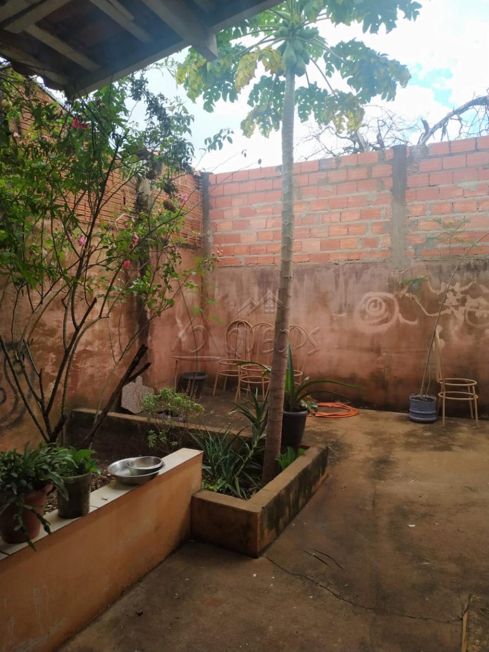 Comprar Casa / Padrão em Barretos apenas R$ 130.000,00 - Foto 13 Comprar Casa / Padrão em Barretos apenas R$ 130.000,00 - Foto 13